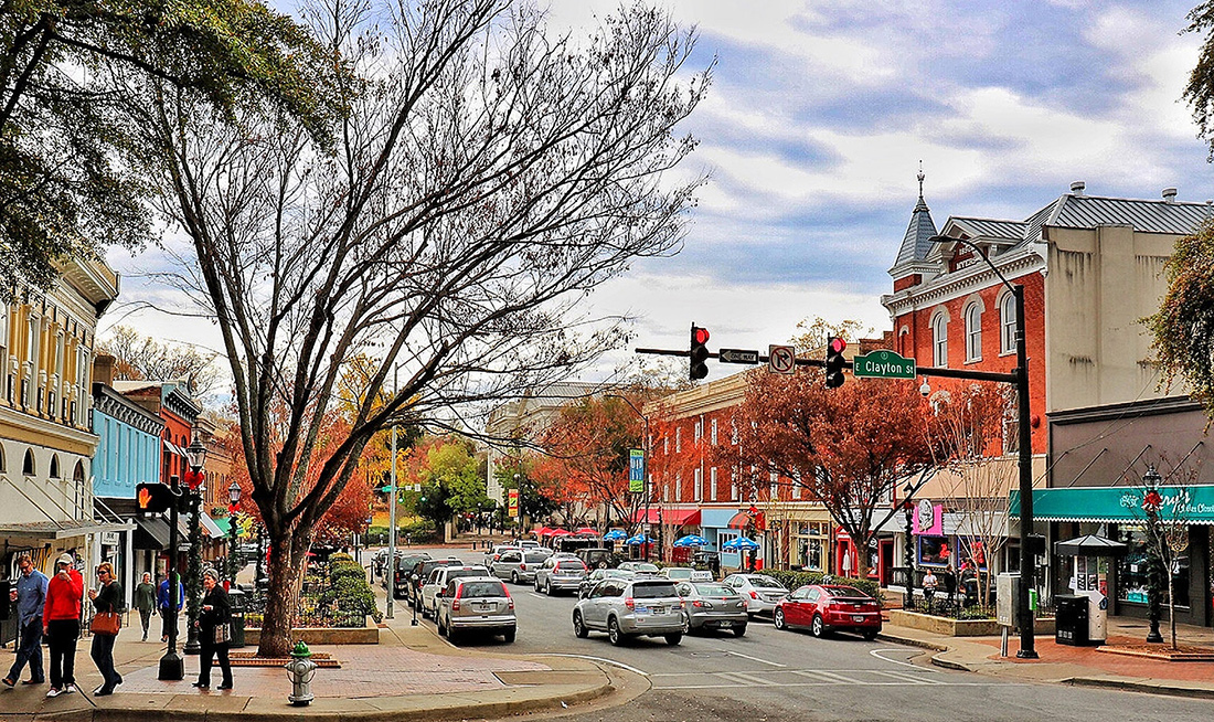 animal wellness clinic athens ga