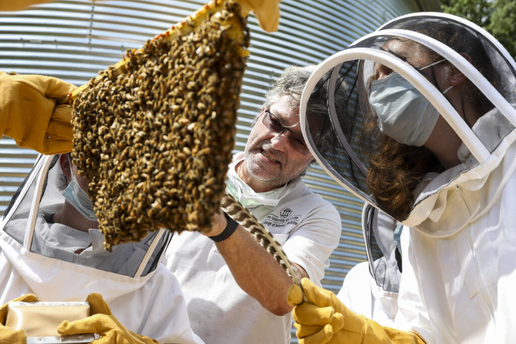 The World’s First Ever Bee Vaccine University of College of