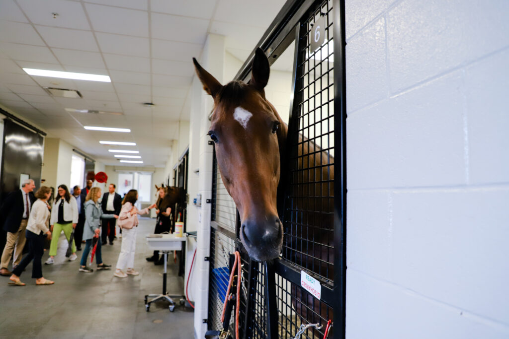 60th Annual Veterinary Conference & Alumni Weekend University of