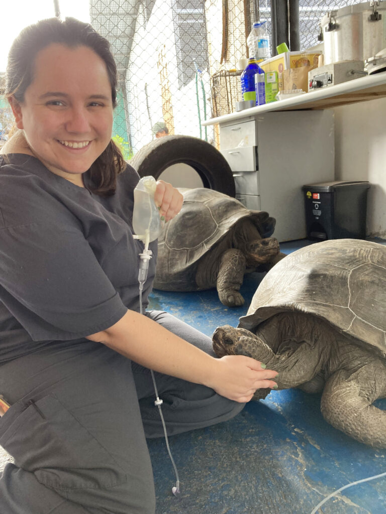 UGA Professor assists with Galápagos giant tortoise ...