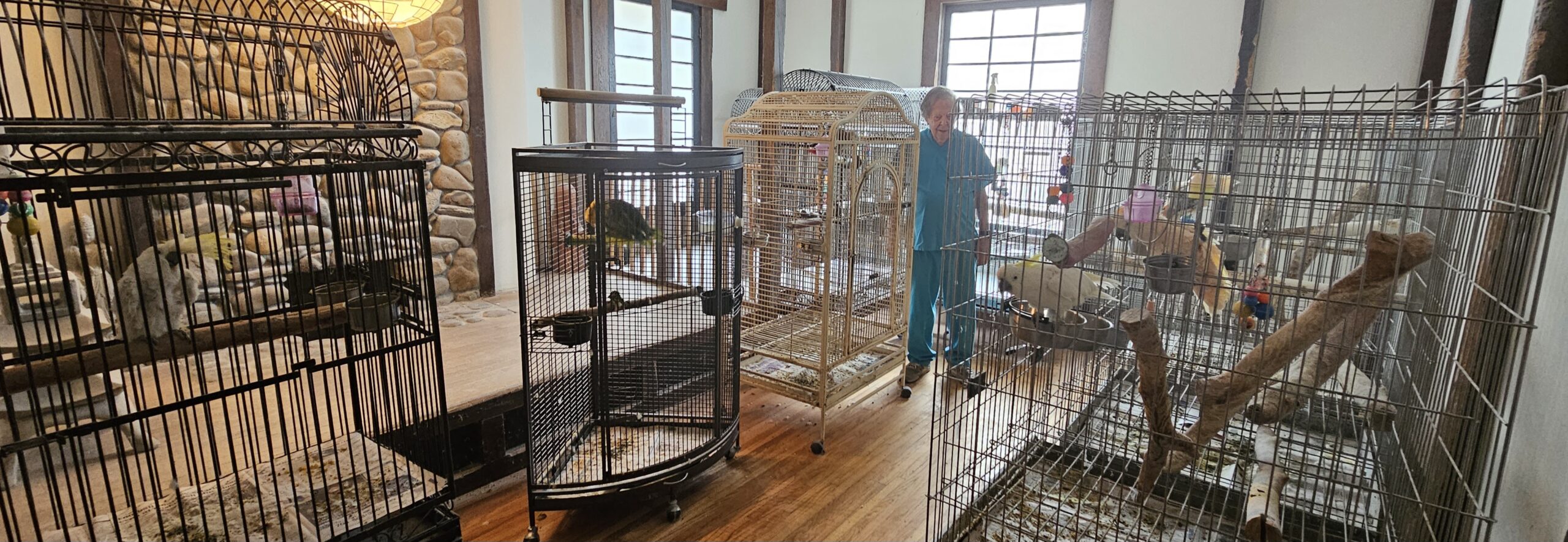 A photo of Barry Simmons in a room with several bird cages
