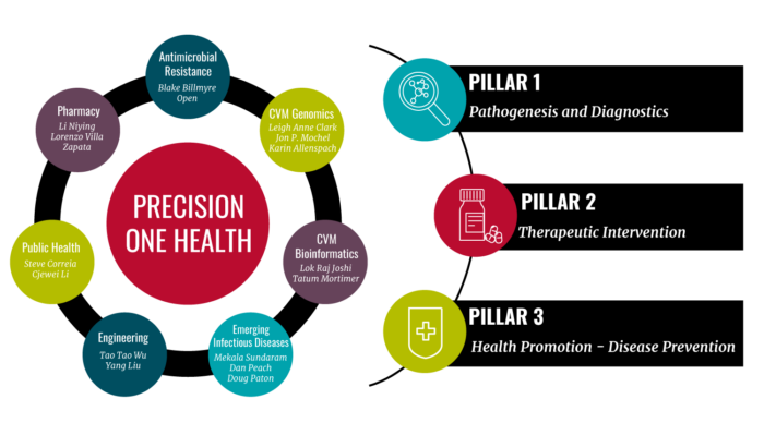 POH Cycle and Pillars graphic for Precision One Health