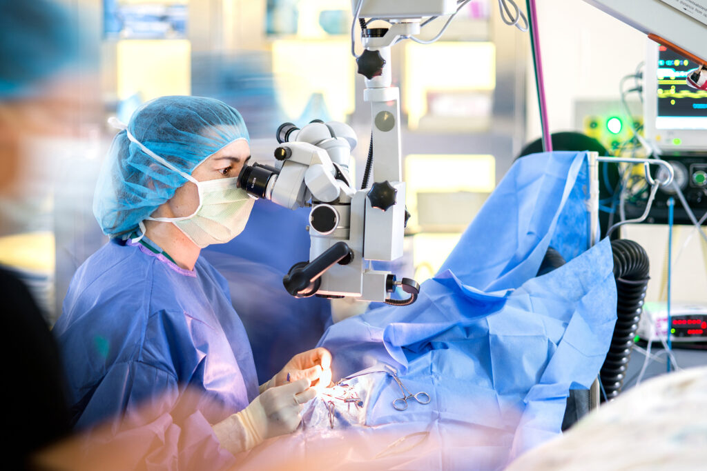 Equine ophthalmology cataract surgery