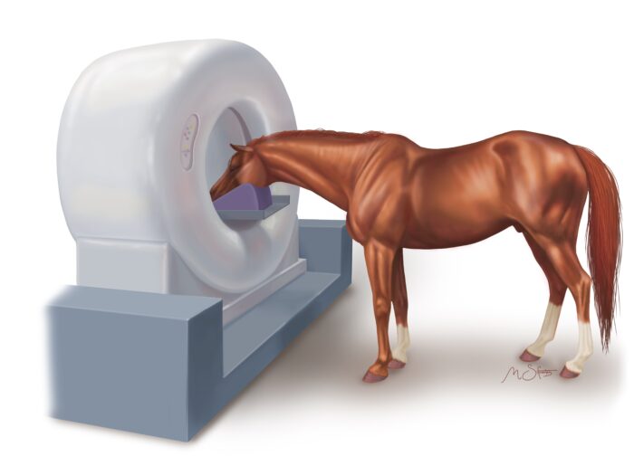Illustration of horse with head in standing ct machine