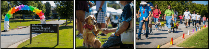 2025 UGA Rainbow Bridge Walk photo compilation