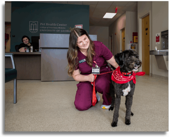 Student with canine patient in PHC front lobby