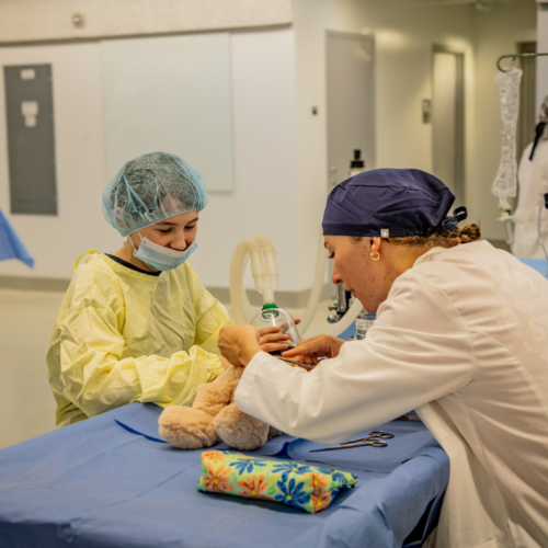 Open house has fun activities and demonstrations for all ages and is open to the public!