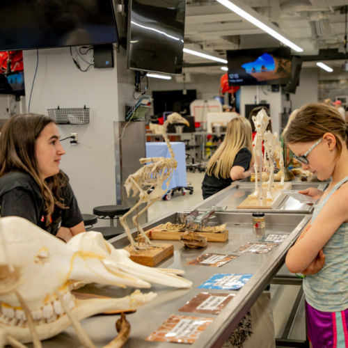 Open house has fun activities and demonstrations for all ages and is open to the public!