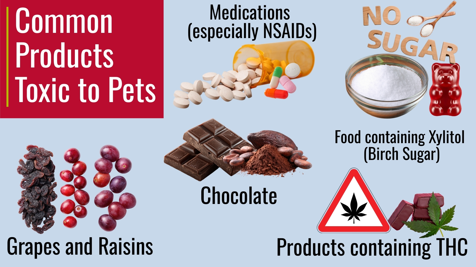 Common household toxins for pets infographic featuring chocolate, grapes and raisins, xylitol, thc products, and medications such as nsaids that can cause pet poisoning.