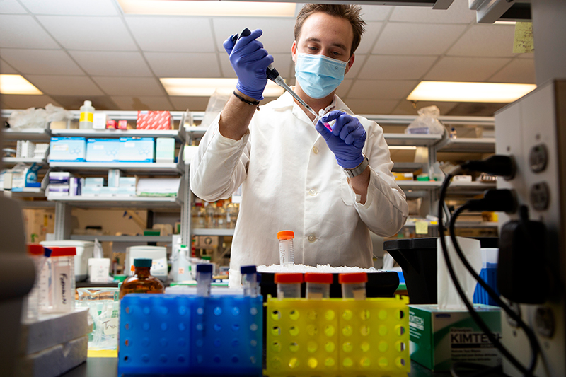 In the lab and in the classroom, taylor elijah martin has built a graduate career defined by both scientific rigor and a deep commitment to mentorship. A ph. D. Student in the interdisciplinary toxicology program at the university of georgia, martin conducts research in dr. Xiaoqin ye’s lab while also making significant contributions to undergraduate education.