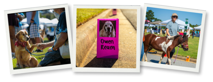 Rainbow bridge memorial walk collage